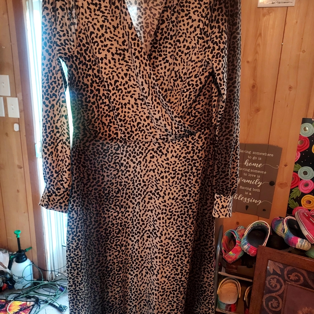 Elegant Animal Print Long Sleeve Dress
